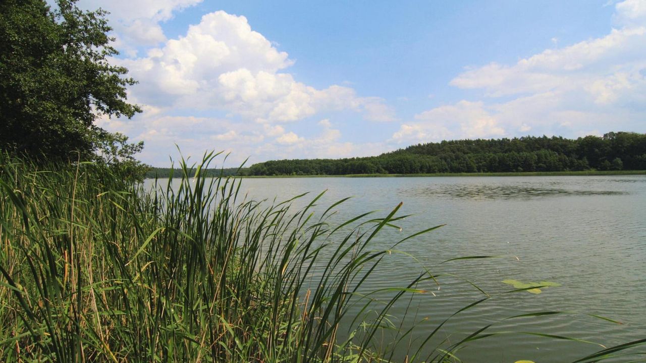 AreaSummer1KM AreaSummer1KM